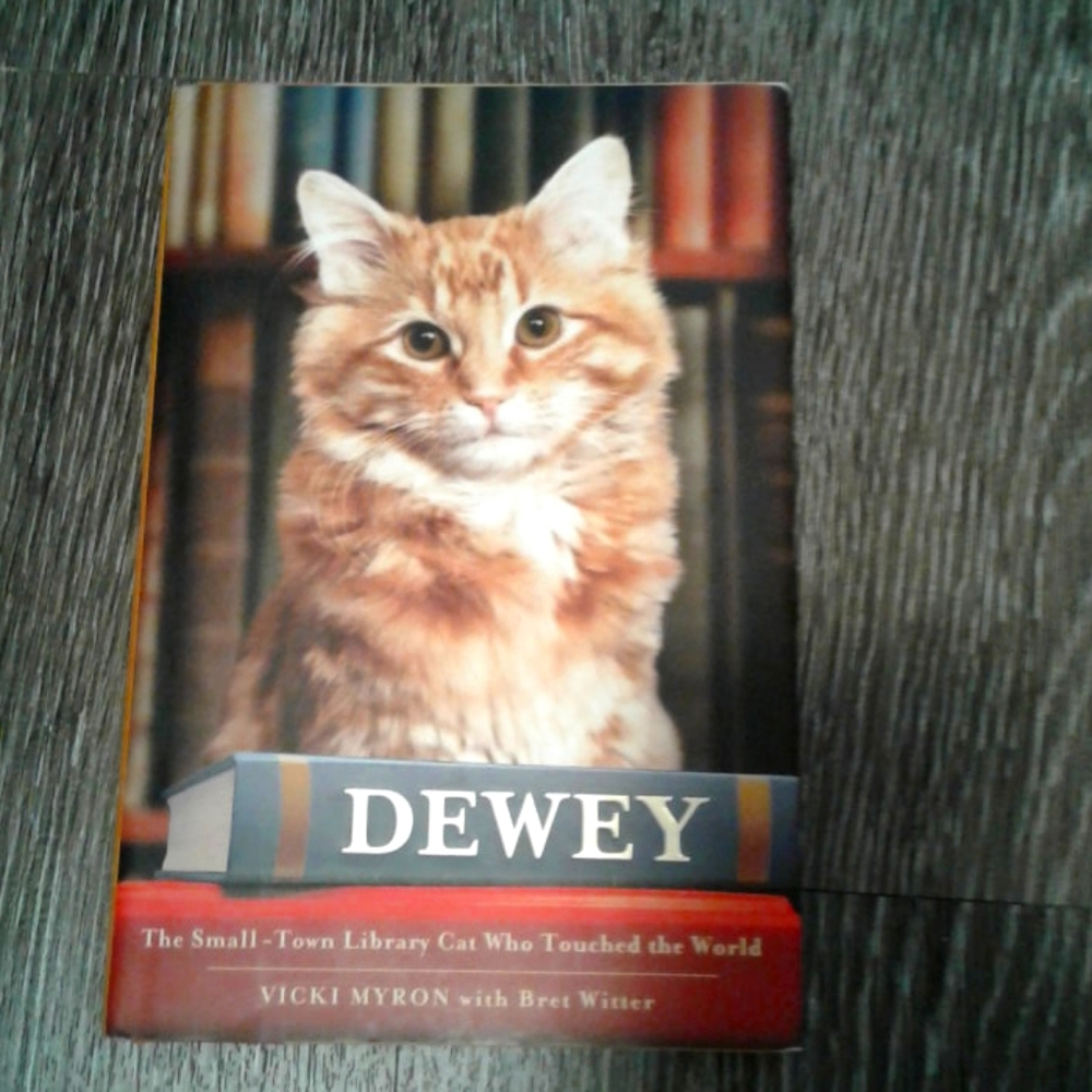 Adult book